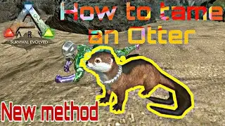 Taming an Otter - Ark Mobile