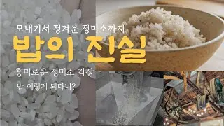 밥의 재발견, 모내기서 정미소 쌀이 되기까지 흥미로운 과정 생생한 현장 가다