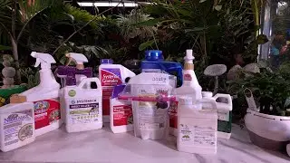Эффективные средства от вредителей растений