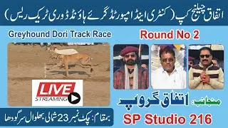 Live Dori Track Race || Round No 2 ||  23 Chak Sargodha ||  #dog #dori #pets