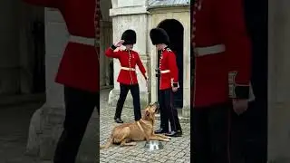 ❤️ True kindness sometimes waits for the right moment.