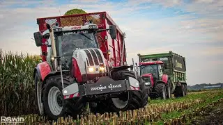 Mais Silage 2021 - Krone BigX 580 10 rows , Steyr cvt & Case puma - Zandman Beerze - Maize Harvest