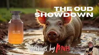 The Oud Showdown, an exploration of Oud fragrances