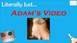Literally Just:  Adam's Video | Rainbow Six Siege Funny Moments