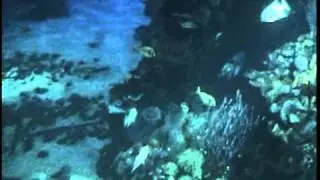 The Living Seas: Full Experience at Epcot 2003 Walt Disney World