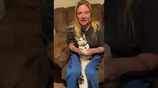 CAT PLAYING PATTY CAKE