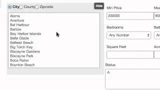 Custom IDX Search Page