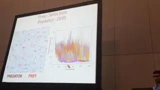 Streett:Coevolution of predator prey behavior modeled using artificial neural networks