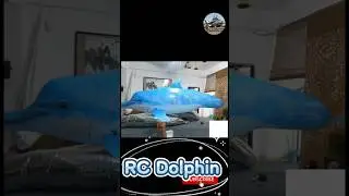 Do you like this kind of huge rc dolphin? #rcmodel #rcaircraft #rc #flightshow