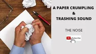 A Paper Crumpling And Trashing Sound | HD Recorded | THE NOISE