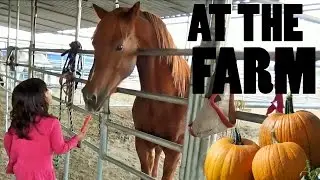 Petting ZOO at the Farm Feeding Horses and Goats | Learn Animal Names for Kids