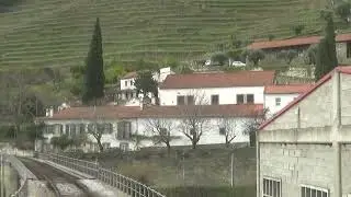 DOURO 12 JANEIRO 2026 - Postal ( Tons de Inverno ) - @antoniomouraotv