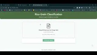 Rice Grain Classification, June 2025
