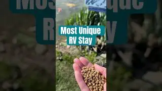 Most Unique RV Stay!