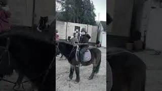 I miss you Bandit, Grave and Rebel #horse #equestrianjourney #horseenthusiast