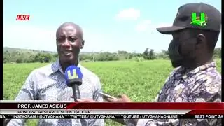 A/R: CSIR Holds Training Workshop For Groundnut Farmers