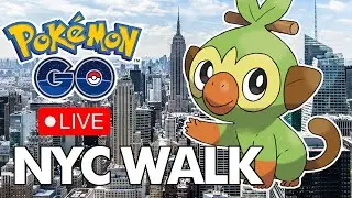 Shiny Grookey IRL Hunt | Grookey Community Day Live | Pokémon GO NYC - January 18, 2025