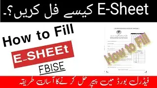 How to Fill FBISE E -ShEET and OMR SHEET 2025|How to attempt Paper on E -Sheet|Key point