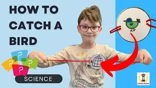 How to put a bird in a cage | Optical illusion | Science experiment