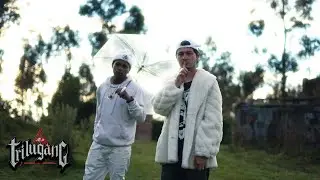 03) C&oacute;smico - En la Mirilla (@shotbypulpam)