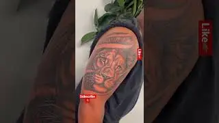 Lion tattoo #leo #tattoodesign #liontattoo #youtubeshorts