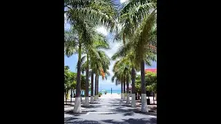 We've Travelled So-Far-Day - Jews of the Caribbean section