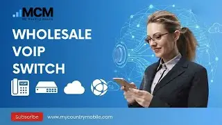 Wholesale VoIP Switch : Mastering Connectivity.