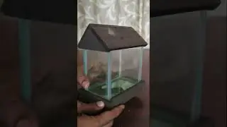 only for photo shoot use - small fish tank unpacking -abi bettas