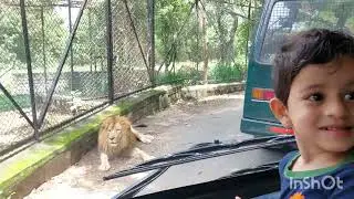 Wildlife Diaries #wildencounters #wildlife #BannerghattaNationalpark