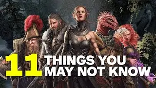 11 Things Divinity: Original Sin 2 Doesn't Tell You