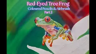 Red-Eyed Tree Frog Drawing | Coloured Pencils & Airbrush - Time-Lapse Part 2