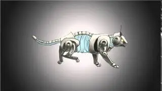 rodoscope robo-cat