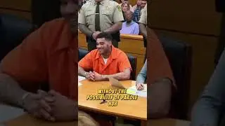 guy gets sentenced to 90 years in prison in the US and says he's not worried #sentences #court