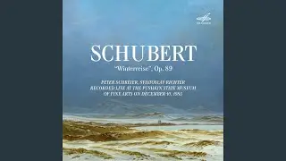 Winterreise, Op. 89, D. 911: No. 4, Erstarrung