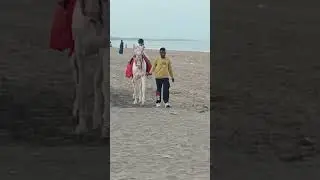 Chal Chal Gurram telugu rhyme | Rishi | Kakinada | Beach #kakinada #rhymes #telugurhymes