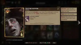 [Gwent] All Way of the Witcher Premium Cards