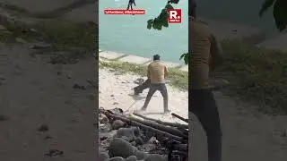 13-Foot King Cobra Rescued from Ganges in Haridwar