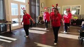 English Meadows Sun City Cloggers Dec. 2025 Christmas Cookies