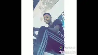 polonais 4gang