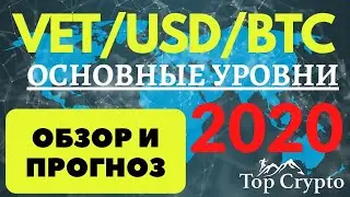 VeChain - Обзор и прогноз VET - План действий к USDT и BTC 2020