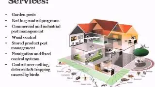 Pest Control Services Melbourne