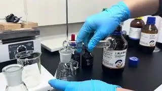 OEM + label customization + sample delivery