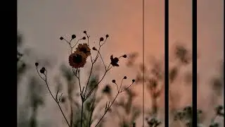Erich Kunzel(G.Rossini) - William Tell Overture(Finale, Lone Ranger Theme)