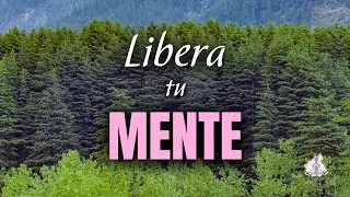 Estr&eacute;s FUERA: Calma tu Mente en Solo 15 Minutos