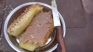KEPSUT TANITIM VİDEOSU