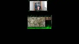 Elden Ring Convergence mod with crowd control! (Portrait)