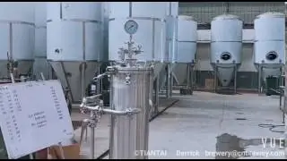 Hop Gun