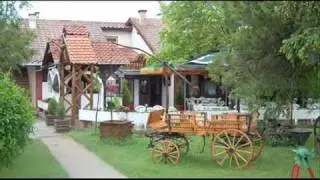 Ljubisa Krinic - Ja sam Lala iz ravnog Banata