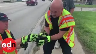 Firefighters rescue ducklings and reunite them with mum