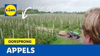 Appels | Oorsprong